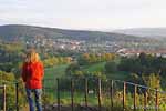 Fernblick von der Aussichtsplattform ber die Stadt Bad Liebenstein